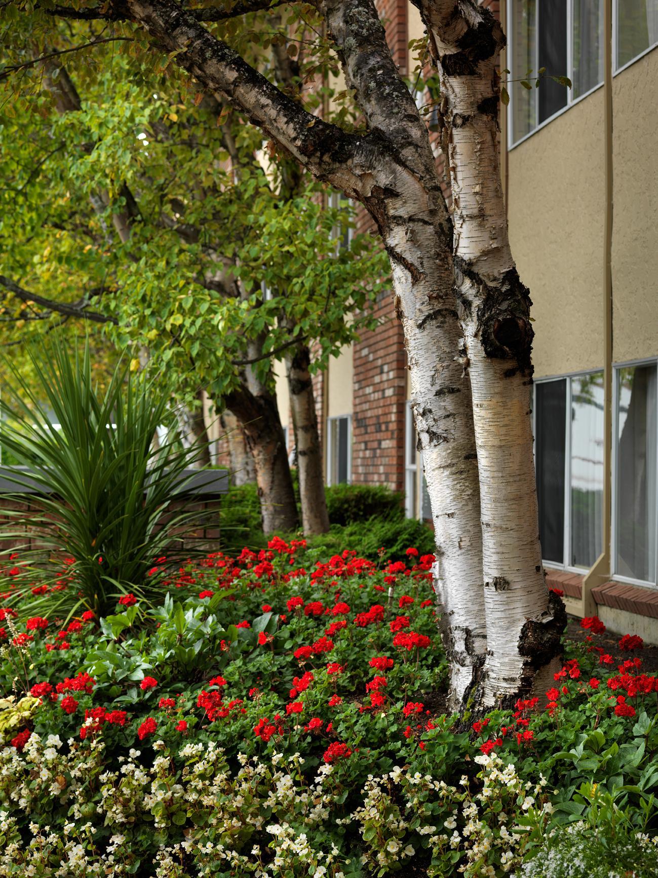 Royal Scot Hotel & Suites Victoria Exterior photo